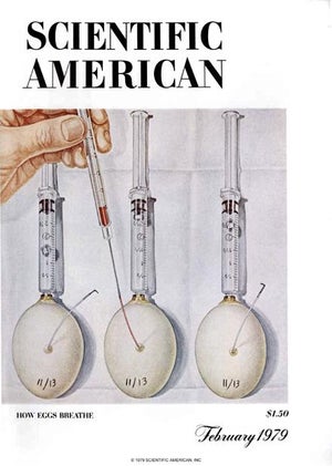 Scientific American Magazine Vol 240 Issue 2