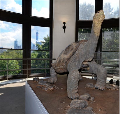 Lonesome George, the Last of His Kind, Strikes His Final Pose [Slideshow]