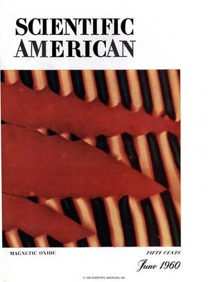 Scientific American Magazine Vol 202 Issue 6