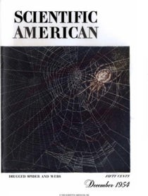 Spider Webs And Drugs - Scientific American