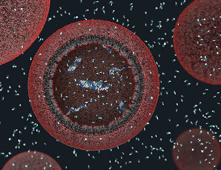 a protocell