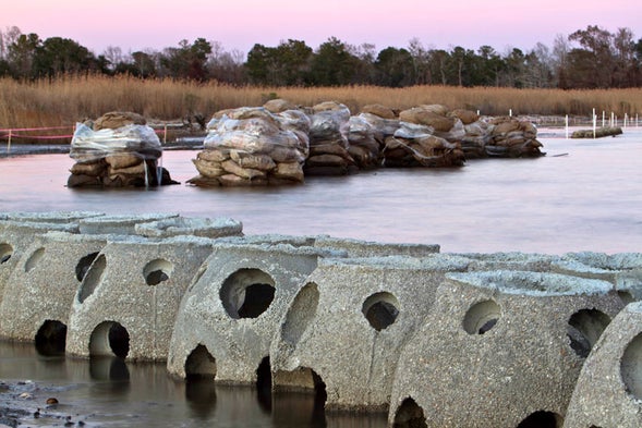 post bp oil spill gulf restoration projects so far lack basis in