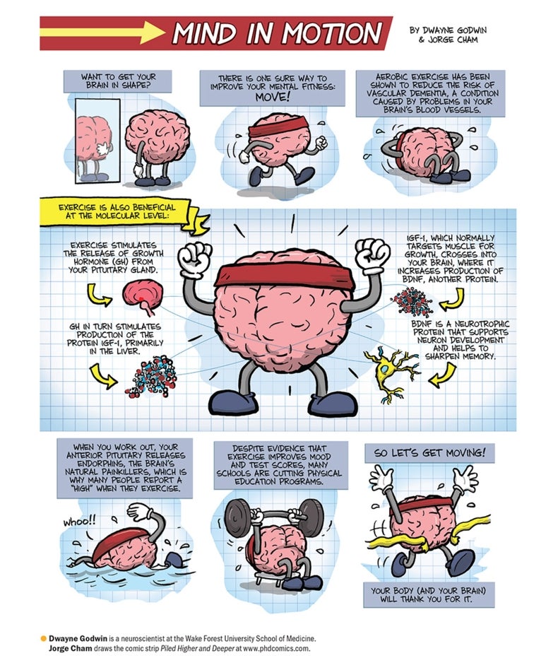 exercise-gets-the-brain-in-shape-scientific-american