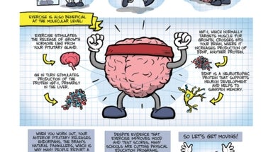 Exercise Gets The Brain In Shape - Scientific American