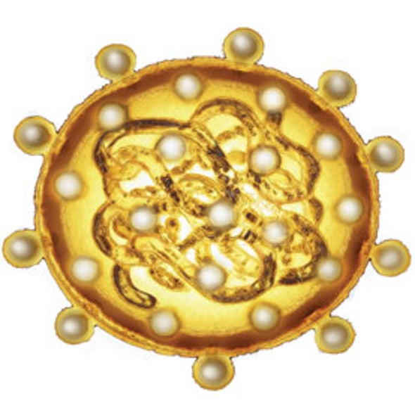 Going Viral: New Hepatitis C Drugs Owe Their Success to HIV