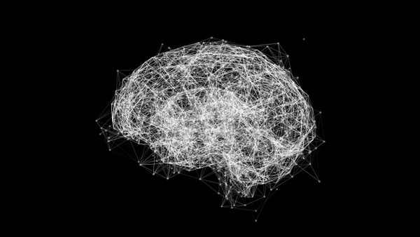 A diagram of the brain, showing a network of neural connections.