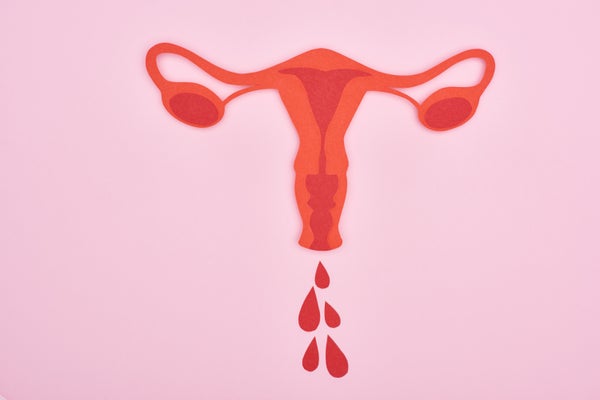 Top view of red paper cut female reproductive internal organs with blood drops on pink background