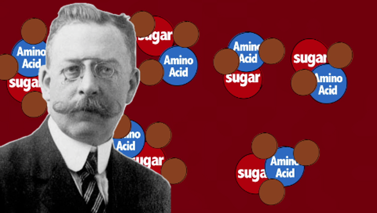 Why Does Cooked Food Taste Good? Scientific American