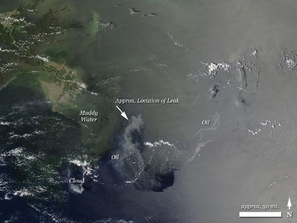 The Enduring Mystery of the Missing Oil Spilled in the Gulf of Mexico