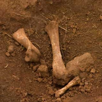 Forensic Anthropologists Aim to Identify Bodies in Cemetery Scam