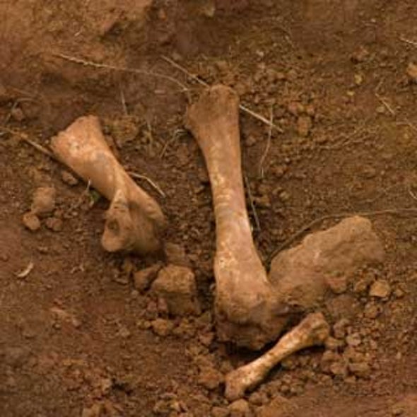 Forensic Anthropologists Aim to Identify Bodies in Cemetery Scam