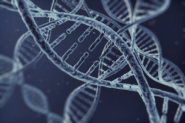 Cellular Circuit Computes with DNA