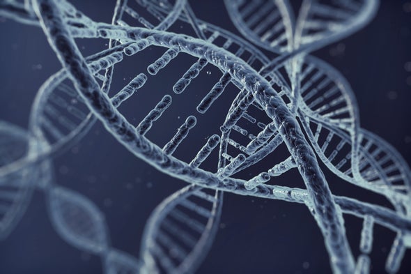 Cellular Circuit Computes with DNA