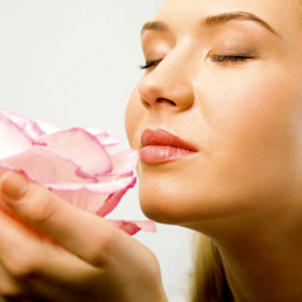 Do different cells in our nose respond to different smells?