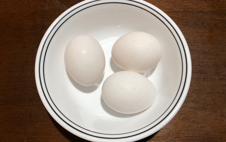 Science News Briefs from around the Planet