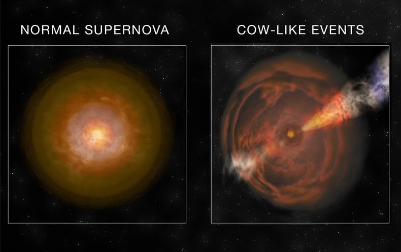 nova vs supernova