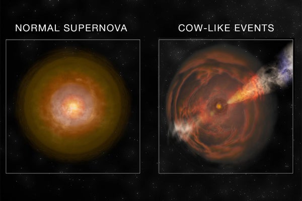 Two supernovae.
