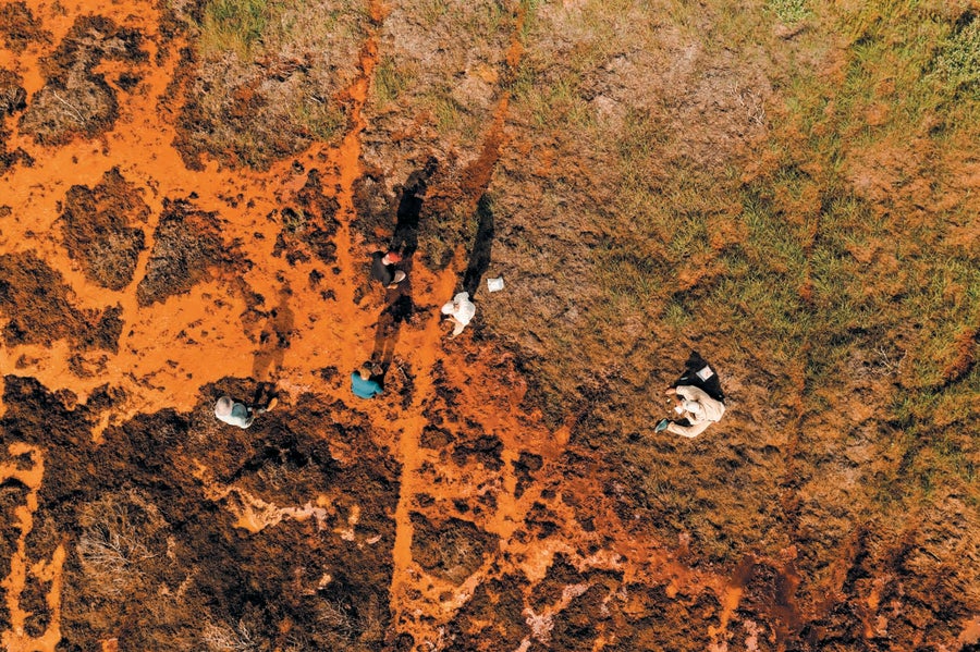 An overhead aerial view showing four people standing in rust stained water.