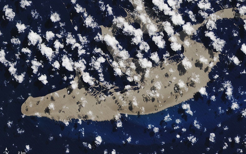 Don't Believe the Hype: The Pumice Raft Won't Save the Great Barrier Reef