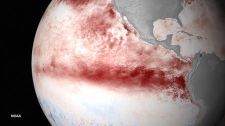 sea surface temperatures