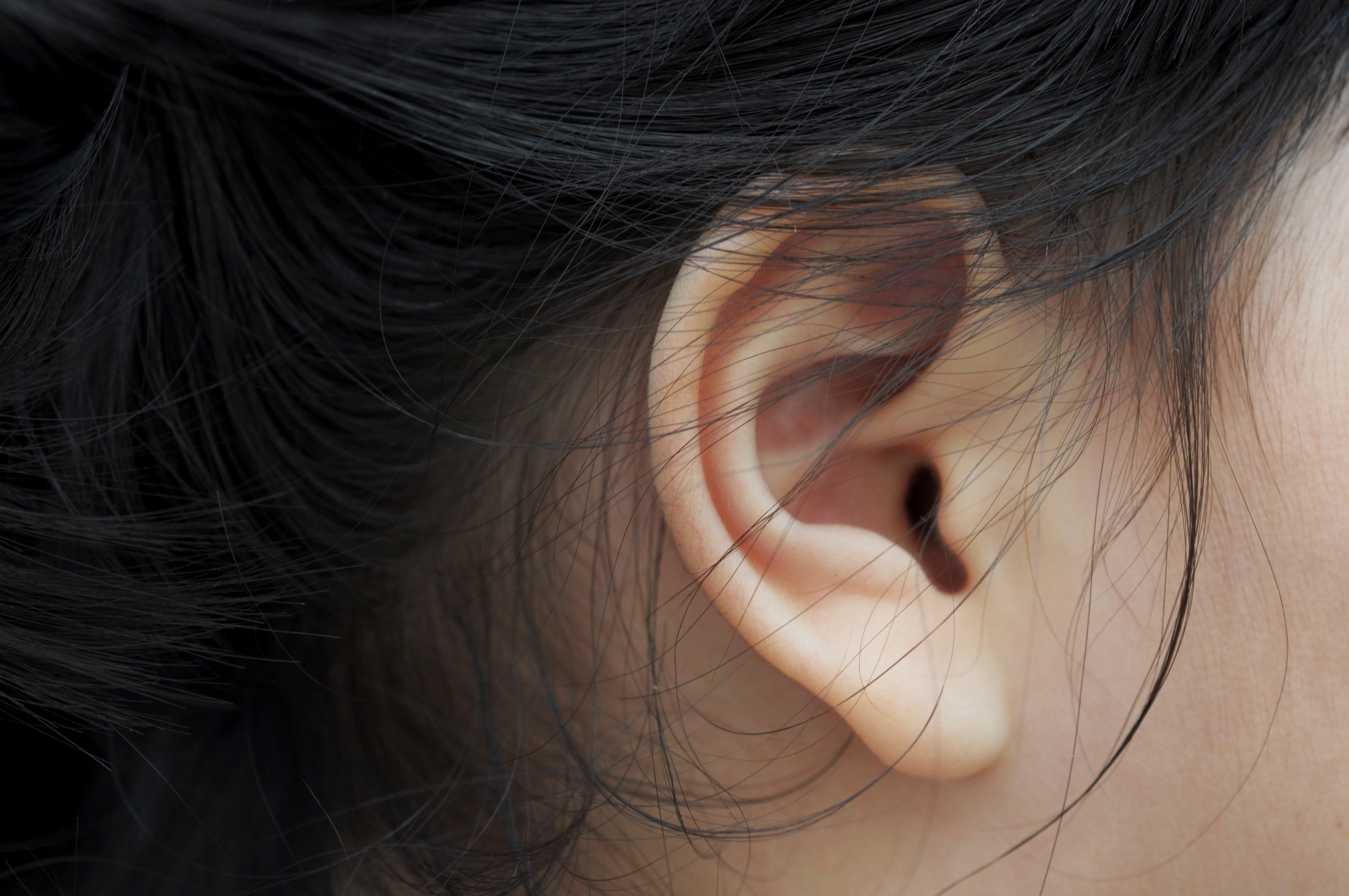 Stratford on Avon spijsvertering Onrustig New Tinnitus Treatment Alleviates Annoying Ringing in the Ears - Scientific  American