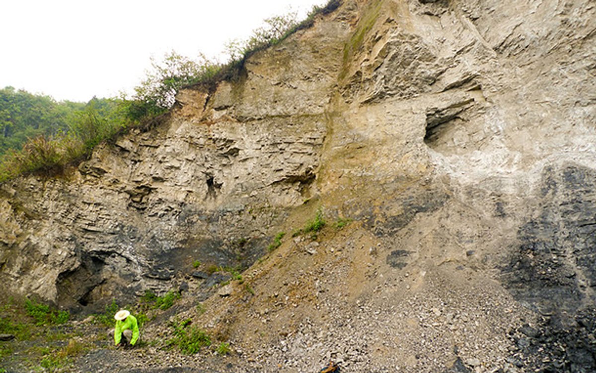 Mining Threatens Chinese Fossil Site That Revealed Planet's Earliest ...