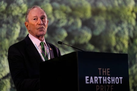 Michael Bloomberg at podium with tree projection background