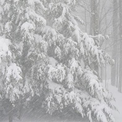 "Bulge" in Atmospheric Pressure Responsible for Cold Winter Amid Global Warming