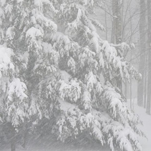 "Bulge" in Atmospheric Pressure Responsible for Cold Winter Amid Global Warming