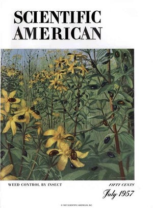 Scientific American Magazine Vol 197 Issue 1