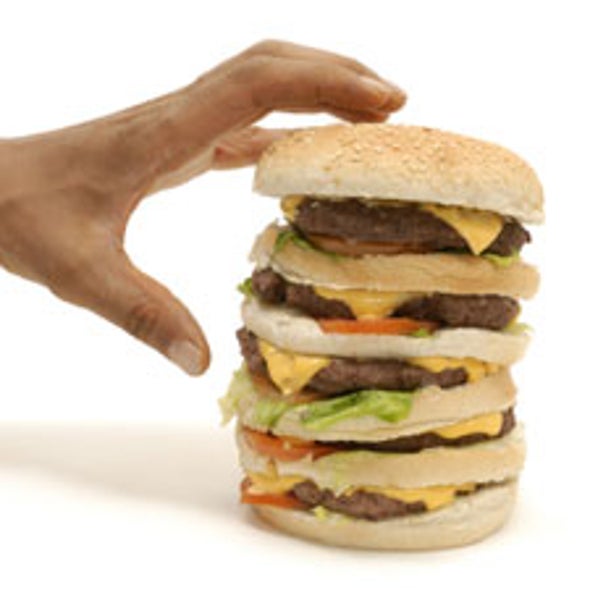 Addicted to Fat: Overeating May Alter the Brain as Much as Hard Drugs