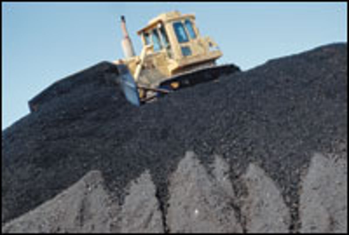 The Rise of Renewable Energy | Scientific American