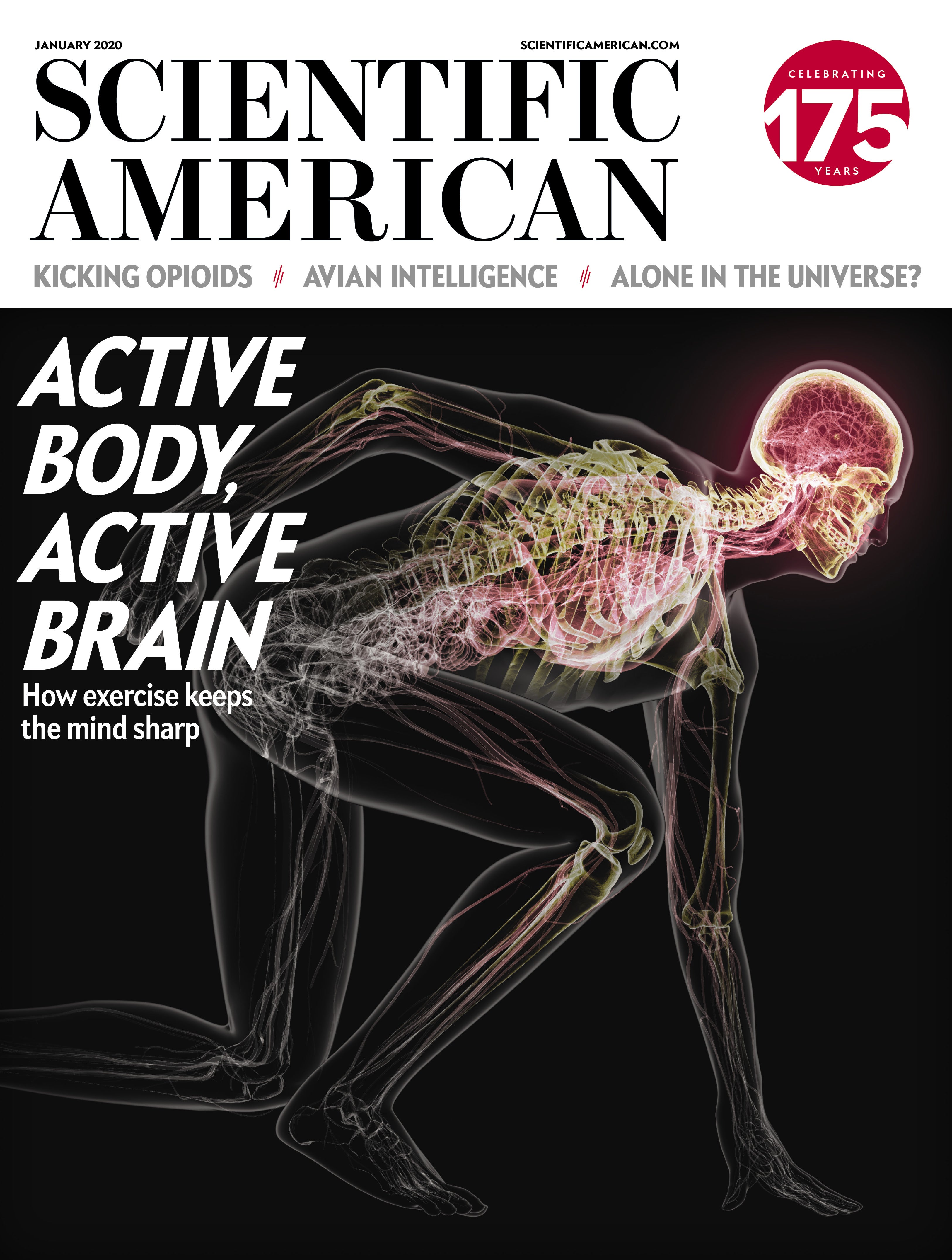 Scientific American: Active Body, Active Brain
