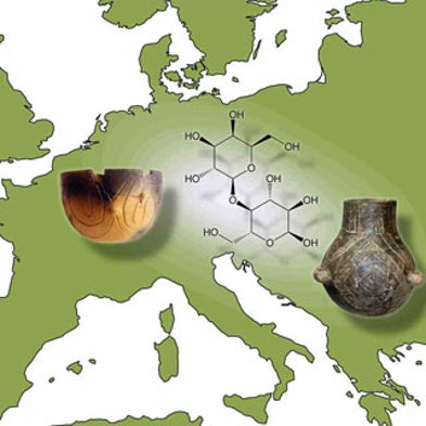 Did Lactose Tolerance First Evolve in Central, Rather Than Northern Europe?