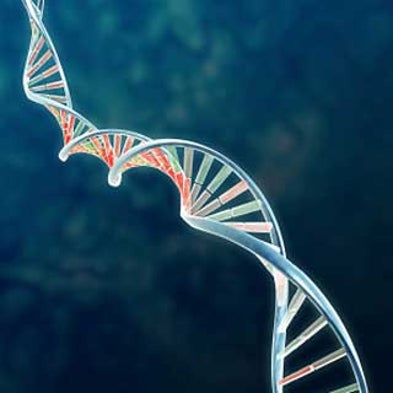 Gene Therapy Treatment for Blindness Proves Safe--and Effective--One Year in