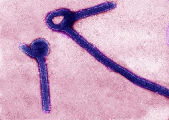 U.K. Ebola &ldquo;Relapse&rdquo; Case Takes Virus Specialists to Uncharted Waters