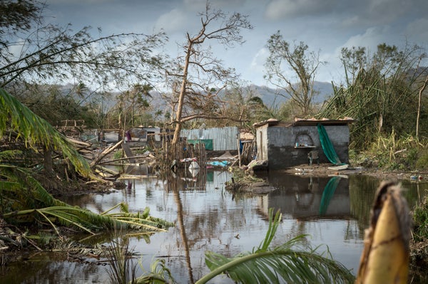 scenes of devastation in the area around Port Vila on March 16, 2015 in Port Vila, Vanuatu