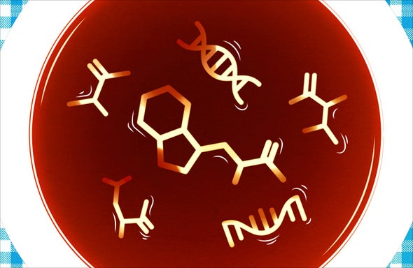 how-structure-arose-in-the-primordial-soup-scientific-american