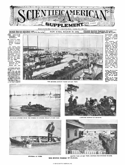 SA Supplements Vol 57 Issue 1472supp