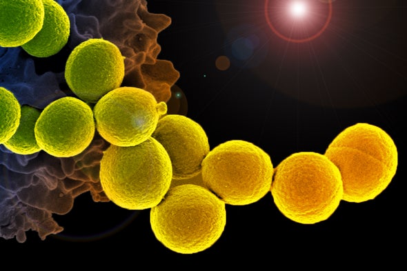 Science News Briefs from All Over
