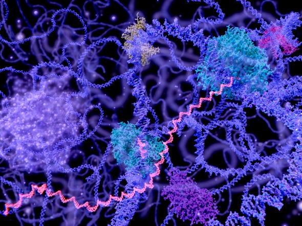 Step Aside, CRISPR: RNA Editing Is Taking Off