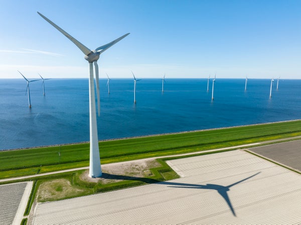 Wind turbines with tuplip field in foreground