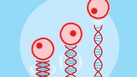 new research in microbiology new research in microbiology
