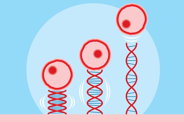 Illustration of cells using DNA strands to bounce.