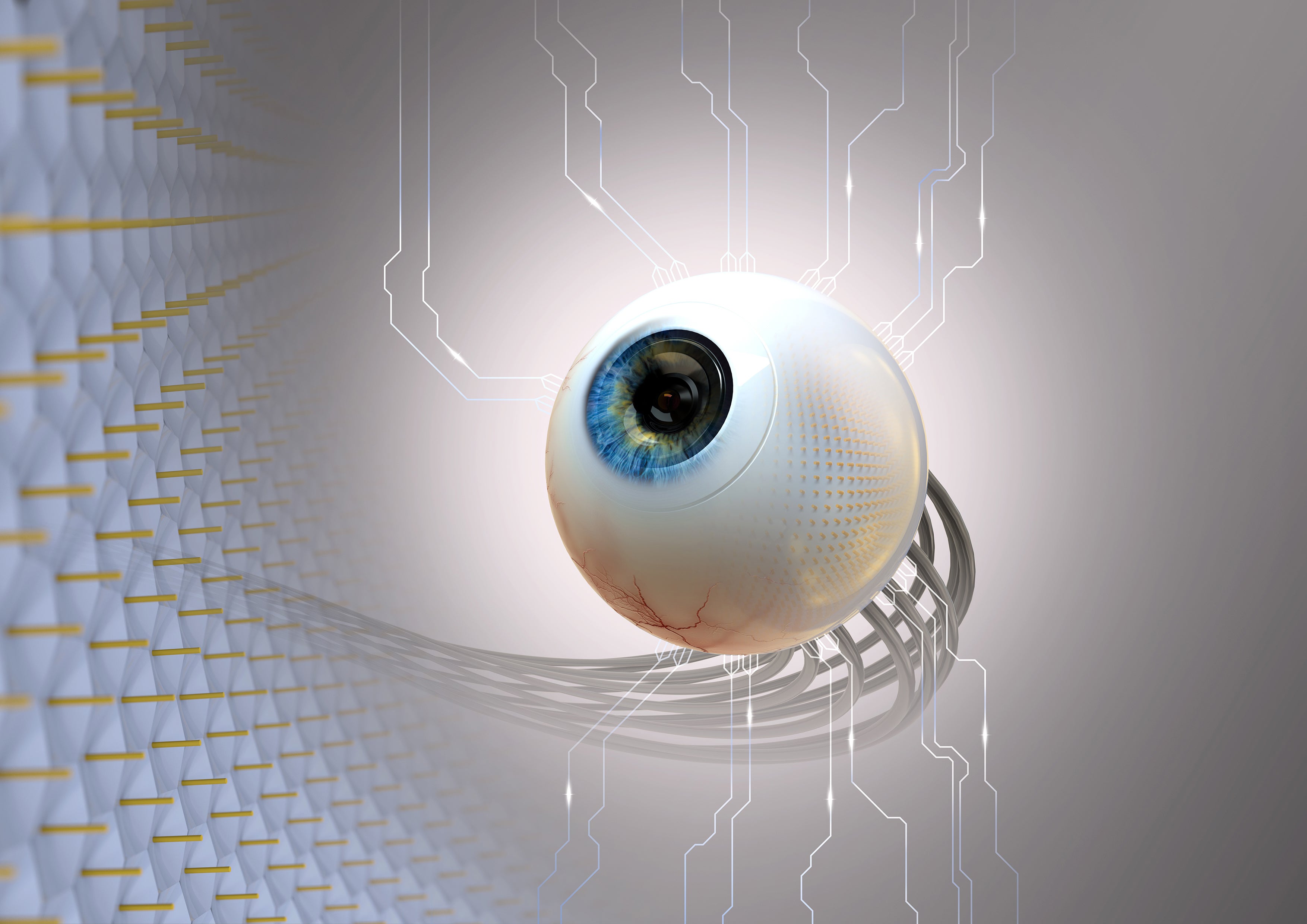 New Artificial Eye Mimics a Retina's Natural Curve - Scientific American