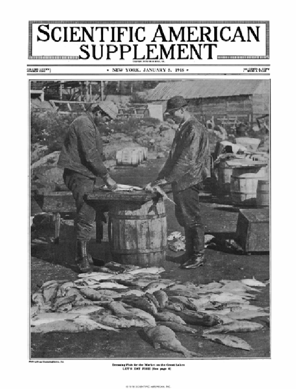 SA Supplements Vol 85 Issue 2192supp