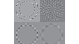 Straight Lines That Curve, Circles That Twist and Other Mind-Bending Illusions