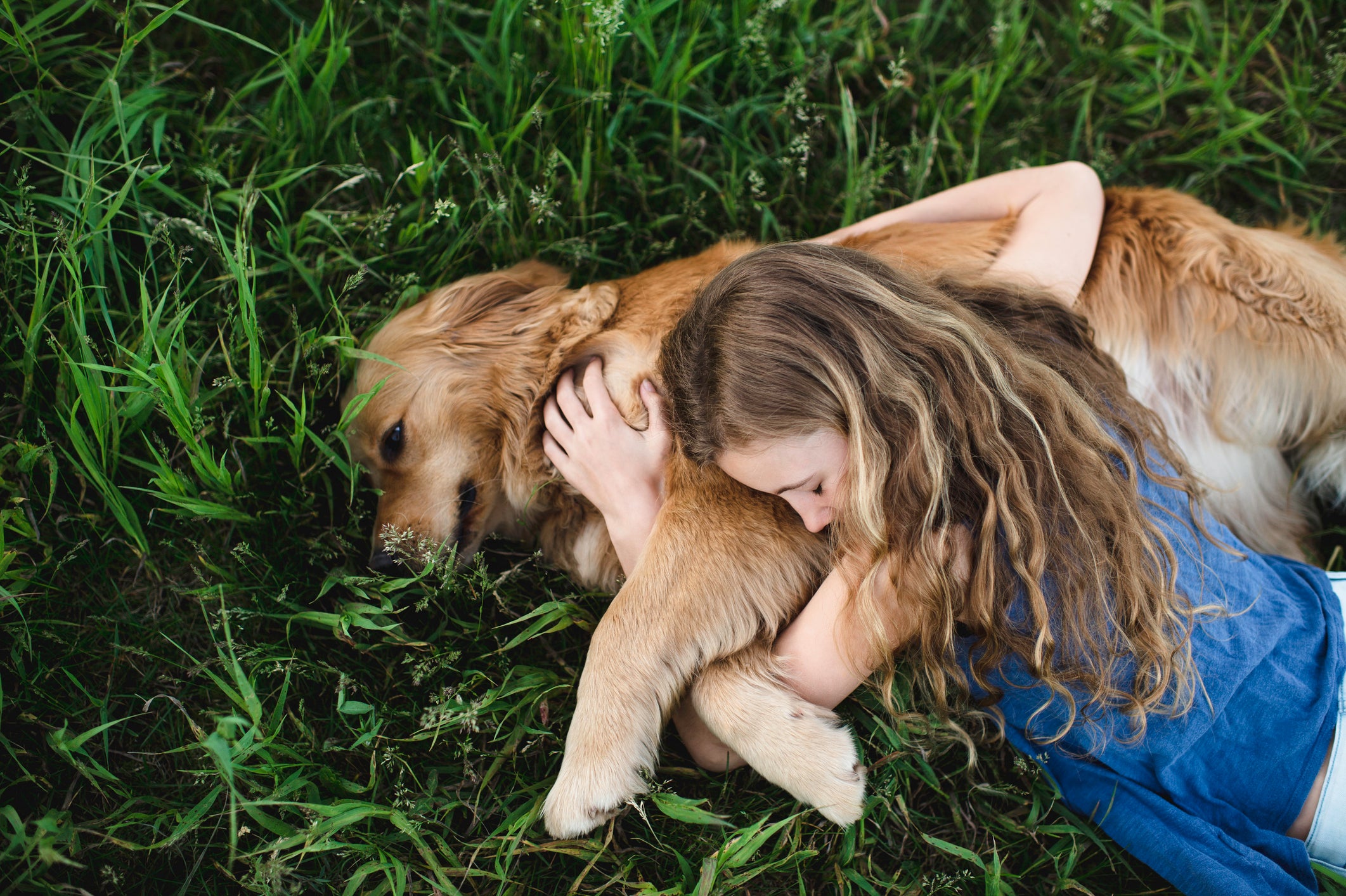 Are Emotional Support Animals Necessary or Just Glorified Pets? -  Scientific American