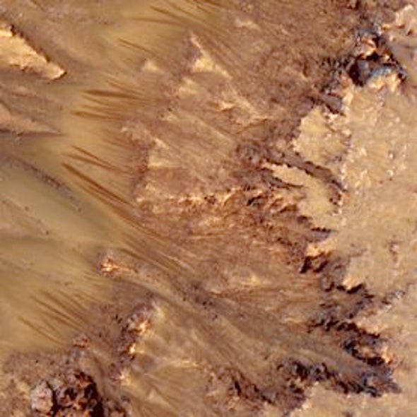 Mars Bars: Seasonal Markings on Martian Slopes Could Indicate Flowing Water