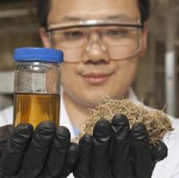 Building a Better Biofuel: A New Carbon-Neutral Approach Turns Carbohydrates into Hydrocarbons